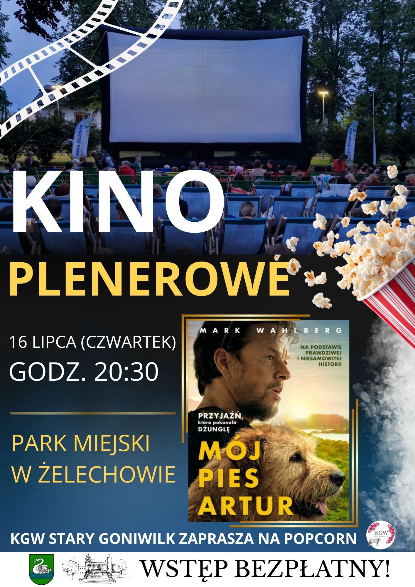 Miniaturka artykułu Wakacyjne kino plenerowe